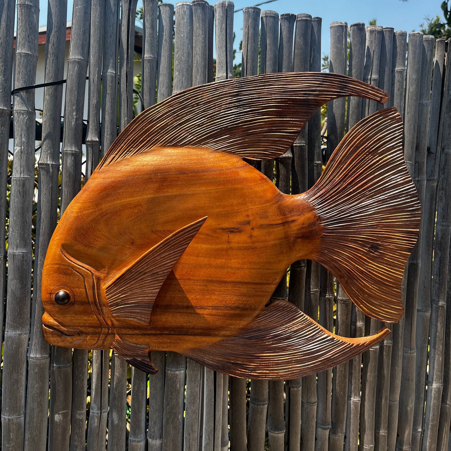 20" Discus Fish Plaque